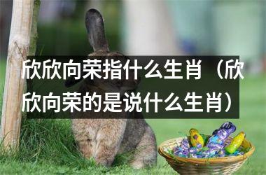 <h3>欣欣向荣指什么生肖（欣欣向荣的是说什么生肖）