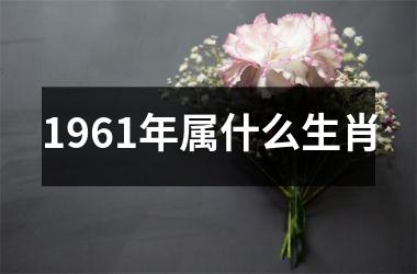 1961年属什么生肖