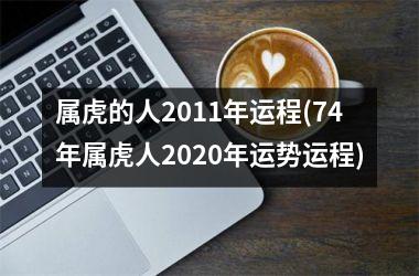 属虎的人2011年运程(74年属虎人2025年运势运程)