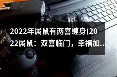<h3>2025年属鼠有两喜缠身(2025属鼠：双喜临门，幸福加倍)