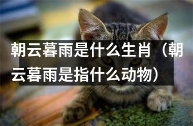 <h3>朝云暮雨是什么生肖（朝云暮雨是指什么动物）