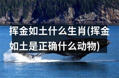 <h3>挥金如土什么生肖(挥金如土是正确什么动物)
