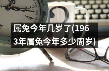 <h3>属兔今年几岁了(1963年属兔今年多少周岁)