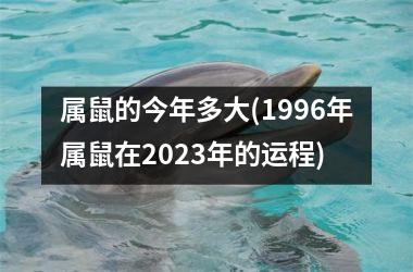 <h3>属鼠的今年多大(1996年属鼠在2025年的运程)