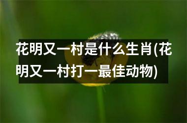 <h3>花明又一村是什么生肖(花明又一村打一佳动物)