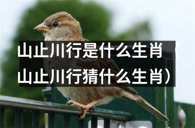 <h3>山止川行是什么生肖（山止川行猜什么生肖）