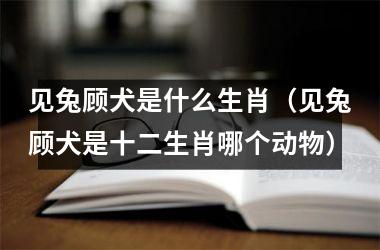 <h3>见兔顾犬是什么生肖（见兔顾犬是十二生肖哪个动物）