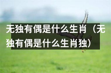 <h3>无独有偶是什么生肖（无独有偶是什么生肖独）