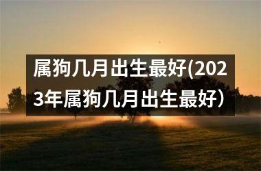 <h3>属狗几月出生好(2025年属狗几月出生好）