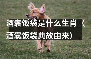 <h3>酒囊饭袋是什么生肖（酒囊饭袋典故由来）