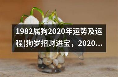 <h3>1982属狗2025年运势及运程(狗岁招财进宝，2025年运程看好！)