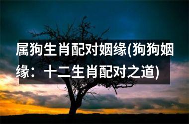 属狗生肖配对姻缘(狗狗姻缘：十二生肖配对之道)