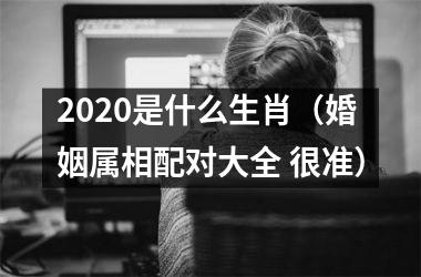 <h3>2025是什么生肖（婚姻属相配对大全 很准）