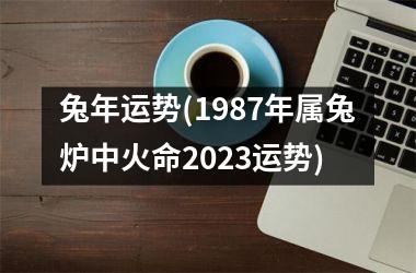兔年运势(1987年属兔炉中火命2025运势)