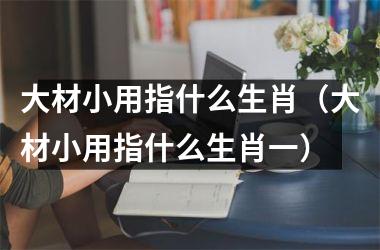 <h3>大材小用指什么生肖（大材小用指什么生肖一）