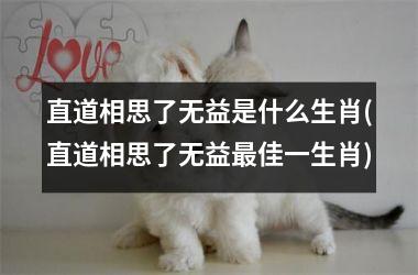 直道相思了无益是什么生肖(直道相思了无益佳一生肖)