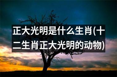 <h3>正大光明是什么生肖(十二生肖正大光明的动物)