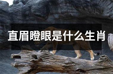 直眉瞪眼是什么生肖