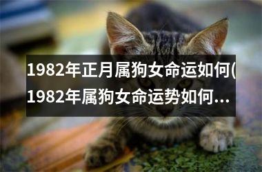 <h3>1982年正月属狗女命运如何(1982年属狗女命运势如何)