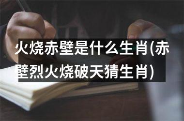 <h3>火烧赤壁是什么生肖(赤壁烈火烧破天猜生肖)