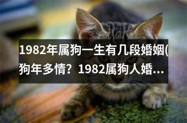 <h3>1982年属狗一生有几段婚姻(狗年多情？1982属狗人婚姻多次牵动人心)