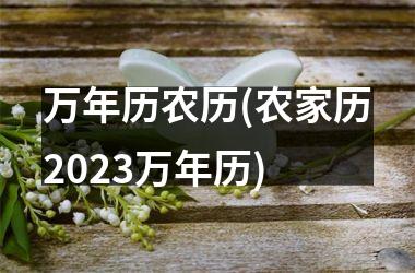<h3>万年历农历(农家历2025万年历)