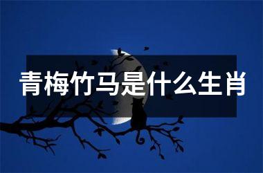 青梅竹马是什么生肖