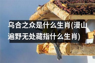 <h3>乌合之众是什么生肖(漫山遍野无处藏指什么生肖)
