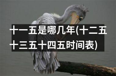 十一五是哪几年(十二五十三五十四五时间表)