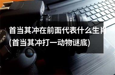 <h3>首当其冲在前面代表什么生肖(首当其冲打一动物谜底)