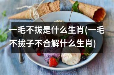 一毛不拔是什么生肖(一毛不拔子不合解什么生肖)
