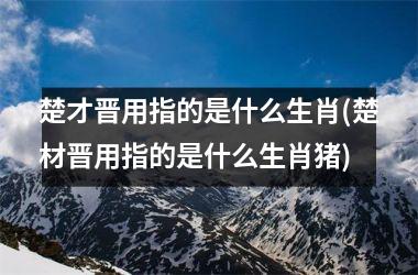 楚才晋用指的是什么生肖(楚材晋用指的是什么生肖猪)