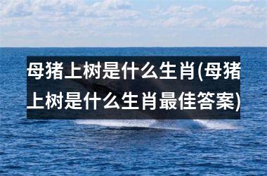 <h3>母猪上树是什么生肖(母猪上树是什么生肖佳答案)