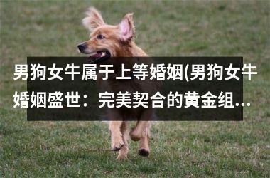 <h3>男狗女牛属于上等婚姻(男狗女牛婚姻盛世：完美契合的黄金组合)