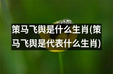 <h3>策马飞舆是什么生肖(策马飞舆是代表什么生肖)