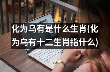 <h3>化为乌有是什么生肖(化为乌有十二生肖指什么)