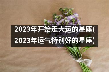 <h3>2025年开始走大运的星座(2025年运气特别好的星座)