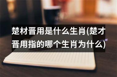 <h3>楚材晋用是什么生肖(楚才晋用指的哪个生肖为什么)