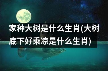<h3>家种大树是什么生肖(大树底下好乘凉是什么生肖)
