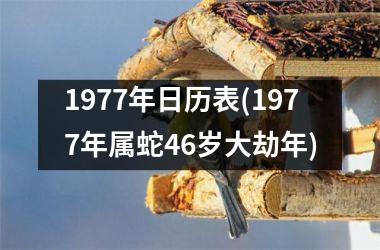 1977年日历表(1977年属蛇46岁大劫年)