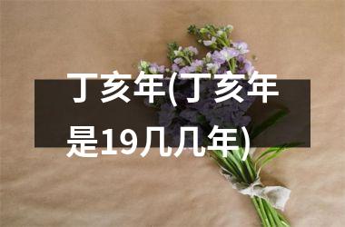 <h3>丁亥年(丁亥年是19几几年)