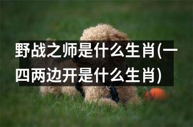 野战之师是什么生肖(一四两边开是什么生肖)