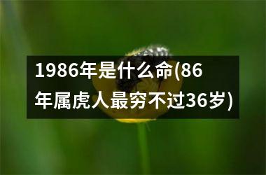 1986年是什么命(86年属虎人穷不过36岁)