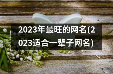 2025年旺的网名(2025适合一辈子网名)