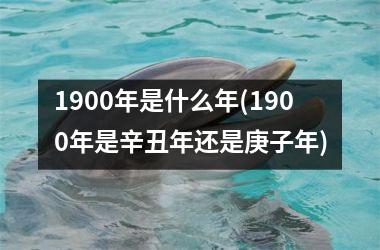 <h3>1900年是什么年(1900年是辛丑年还是庚子年)
