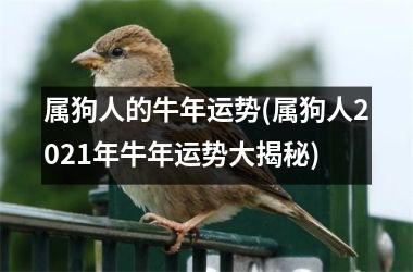 <h3>属狗人的牛年运势(属狗人2025年牛年运势大揭秘)