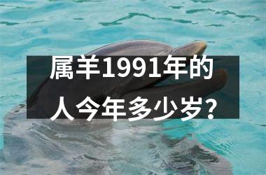 属羊1991年的人今年多少岁？