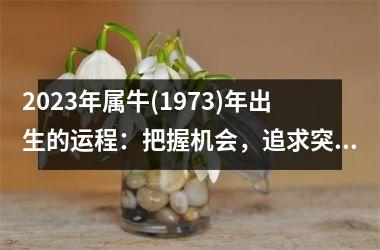 <h3>2025年属牛(1973)年出生的运程：把握机会，追求突破