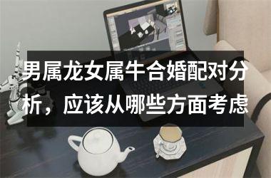 <h3>男属龙女属牛合婚配对分析，应该从哪些方面考虑