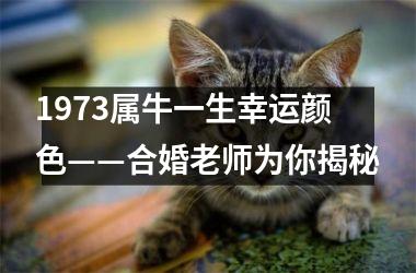<h3>1973属牛一生幸运颜色——合婚老师为你揭秘
